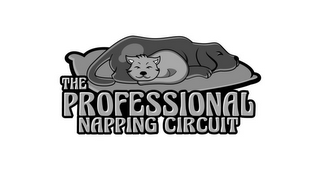THE PROFESSIONAL NAPPING CIRCUIT logo