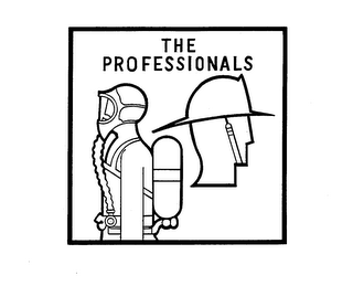 THE PROFESSIONALS logo
