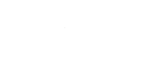 THE PROFESSIONALS MSA logo