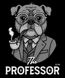 THE PROFESSOR logo
