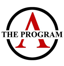 THE PROGRAM V logo