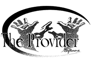THE PROVIDER SOFTWARE logo