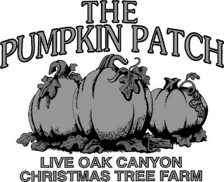 THE PUMPKIN PATCH LIVE OAK CANYON CHRISTMAS TREE FARM logo