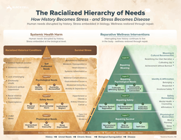 THE RACIALIZED HIERARCHY OF NEEDS. HOW HISTORY BECOMES STRESS AND STRESS BECOMES DISEASE. logo