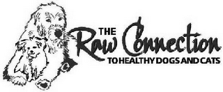 THE RAW CONNECTION TO HEALTHY DOGS AND CATS logo