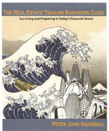 THE REAL ESTATE TSUNAMI SURVIVORS GUIDE SURVIVING AND PROPERING IN TODAY'S FINANCIAL STORM PETER JOHN INGERSOLL logo