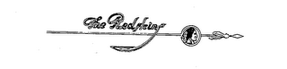 THE REDSKINS logo