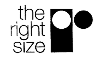 THE RIGHT SIZE logo