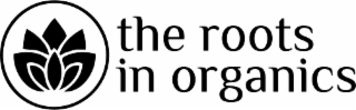 THE ROOTS IN ORGANICS logo