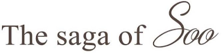 THE SAGA OF SOO logo