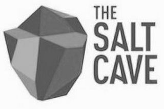 THE SALT CAVE logo