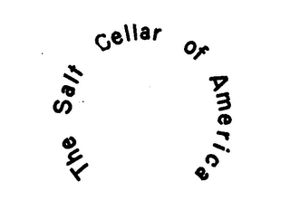THE SALT CELLAR OF AMERICA logo