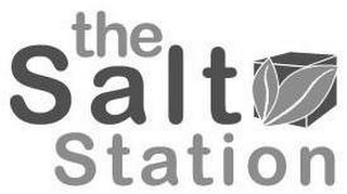 THE SALT STATION logo