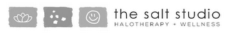 THE SALT STUDIO HALOTHERAPY + WELLNESS logo