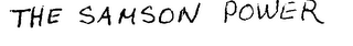 THE SAMSON POWER logo