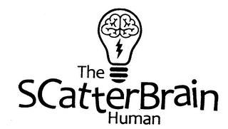 THE SCATTERBRAIN HUMAN logo