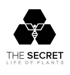 THE SECRET LIFE OF PLANTS logo