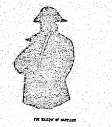 THE SHADOW OF NAPOLEON logo