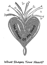 THE SHAPE OF MY HEART WHAT SHAPES YOUR HEART? logo