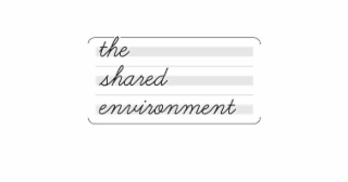 THE SHARED ENVIRONMENT logo
