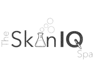 THE SKIN IQ SPA logo