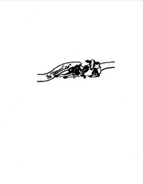 THE SKINNY COW logo