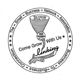 THE-SMALL-BUSINESS-NETWORK-ASSOCIATION BUSINESS-TO-BUSINESS-CONNECTION THE INTRINSIC GROUP, LLC SBN ASSOCIATION COME GROW WITH US LINKING logo
