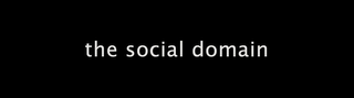 THE SOCIAL DOMAIN logo