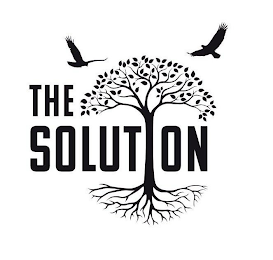 THE SOLUTION logo