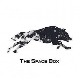 THE SPACE BOX logo