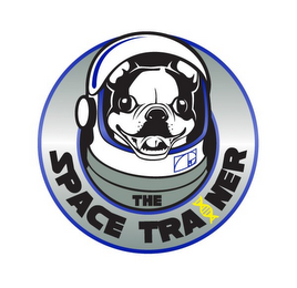 THE SPACE TRAINER logo