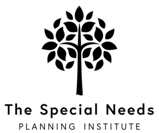 THE SPECIAL NEEDS PLANNING INSTITUTE logo