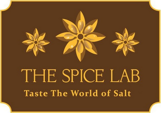THE SPICE LAB TASTE THE WORLD OF SALT logo