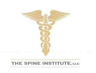 THE SPINE INSTITUTE, LLC logo