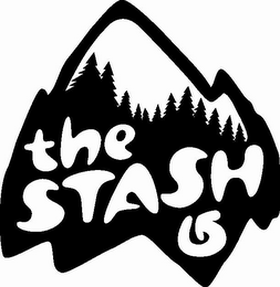 THE STASH logo