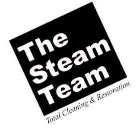 THE STEAM TEAM TOTAL CLEANING & RESTORATION logo