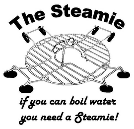 THE STEAMIE IF YOU CAN BOIL WATER YOU NEED A STEAMIE! logo