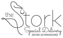 THE STORK SPECIAL DELIVERY 3D/4D ULTRASOUND logo