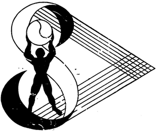 THE SYNERGISTIC PROGRAM logo