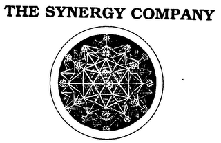THE SYNERGY COMPANY logo
