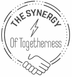 THE SYNERGY OF TOGETHERNESS logo