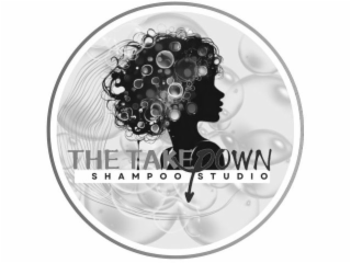 THE TAKEDOWN SHAMPOO STUDIO logo