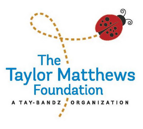 THE TAYLOR MATTHEWS FOUNDATION A TAY-BANDZ ORGANIZATION logo