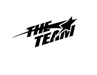 THE TEAM logo