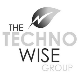 THE TECHNO WISE GROUP logo