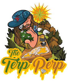THE TERP PERP TP NESW logo