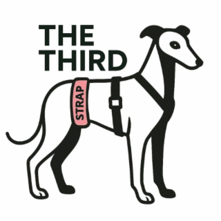 THE THIRD STRAP logo