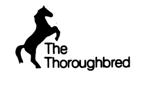 THE THOROUGHBRED logo