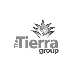 THE TIERRA GROUP logo