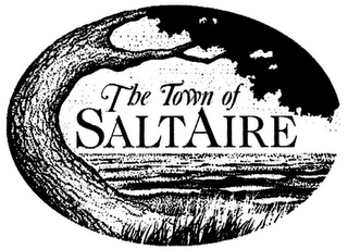 THE TOWN OF SALTAIRE logo